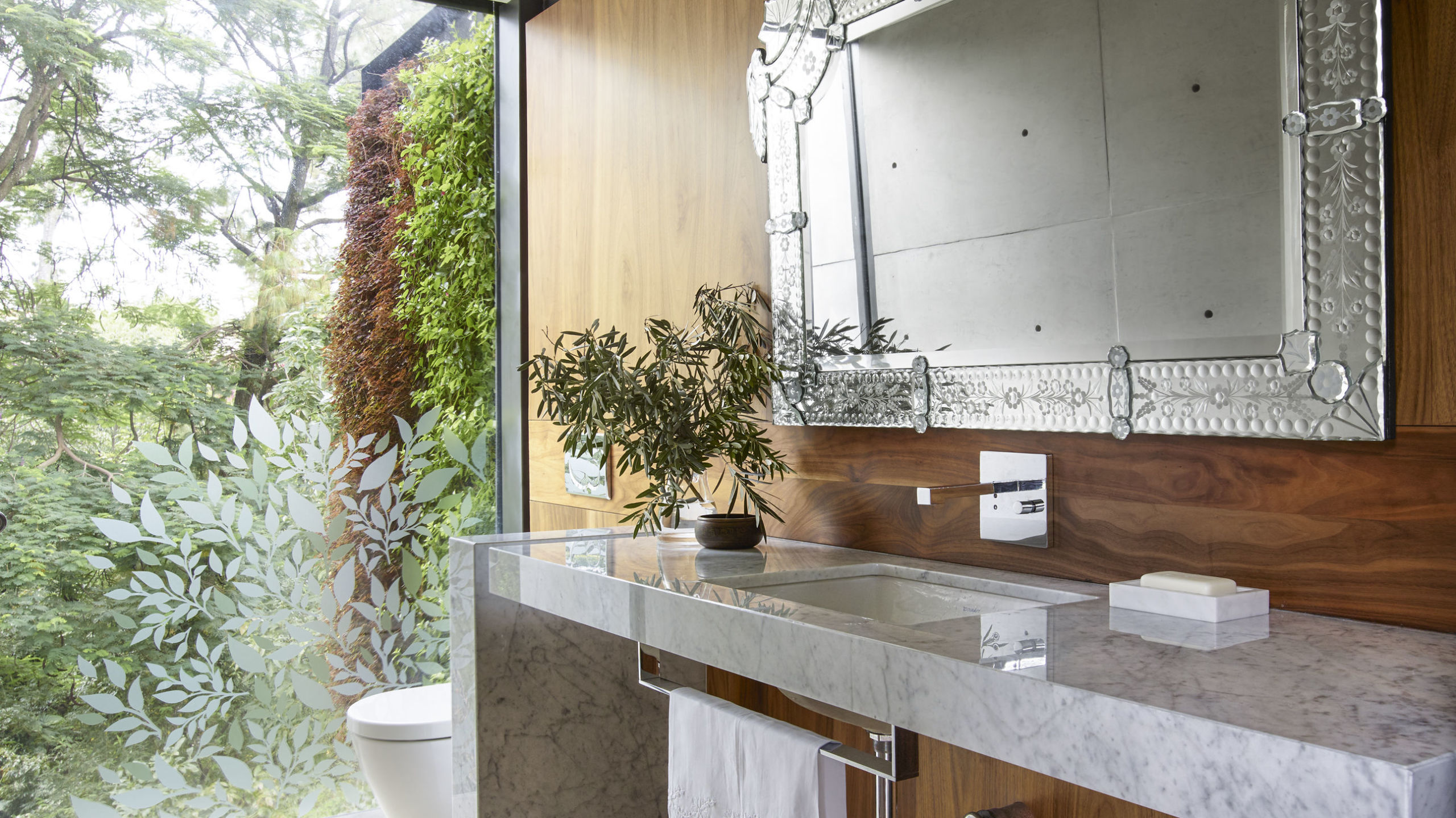 Modern House Design - Tree House Design
