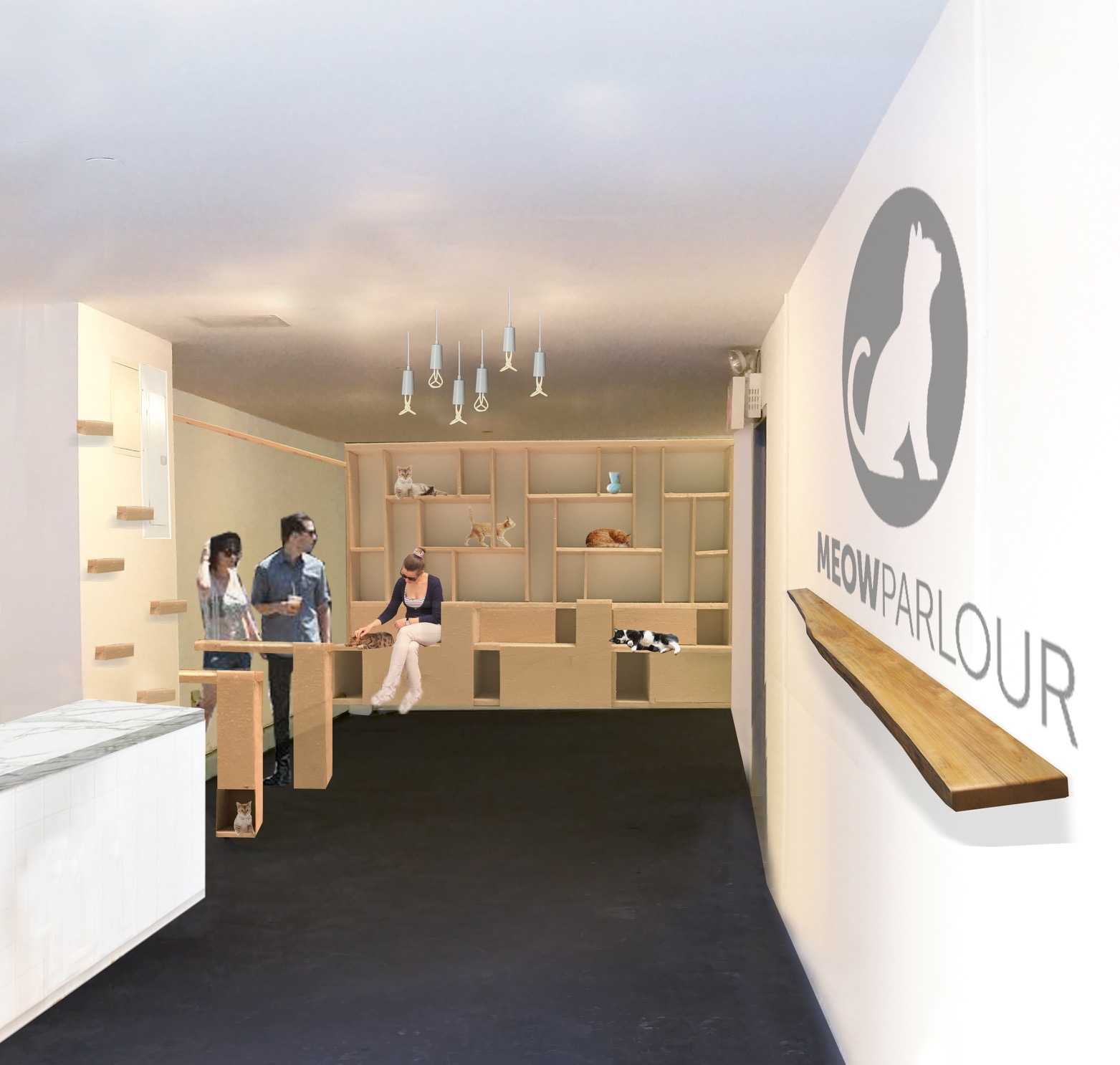 Cat Cafe Design NYC Cat Cafe Opening