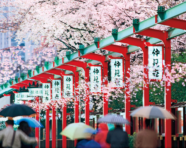 Japan Tours With Airfare Japan Tours With Airfare